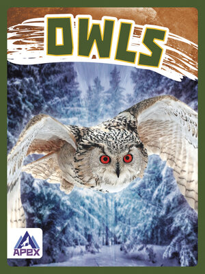 cover image of Owls